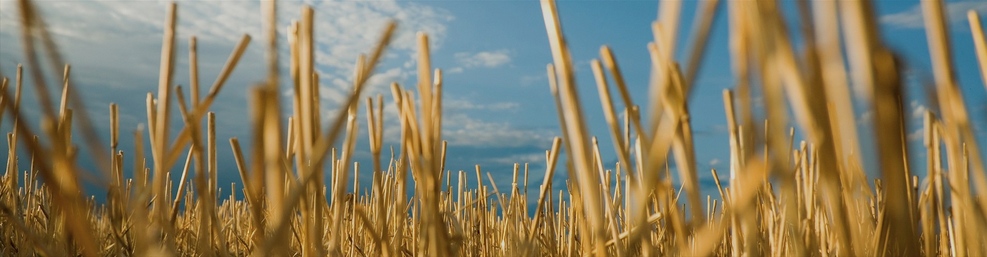 Fondo obtener la mayor calificación energética posible